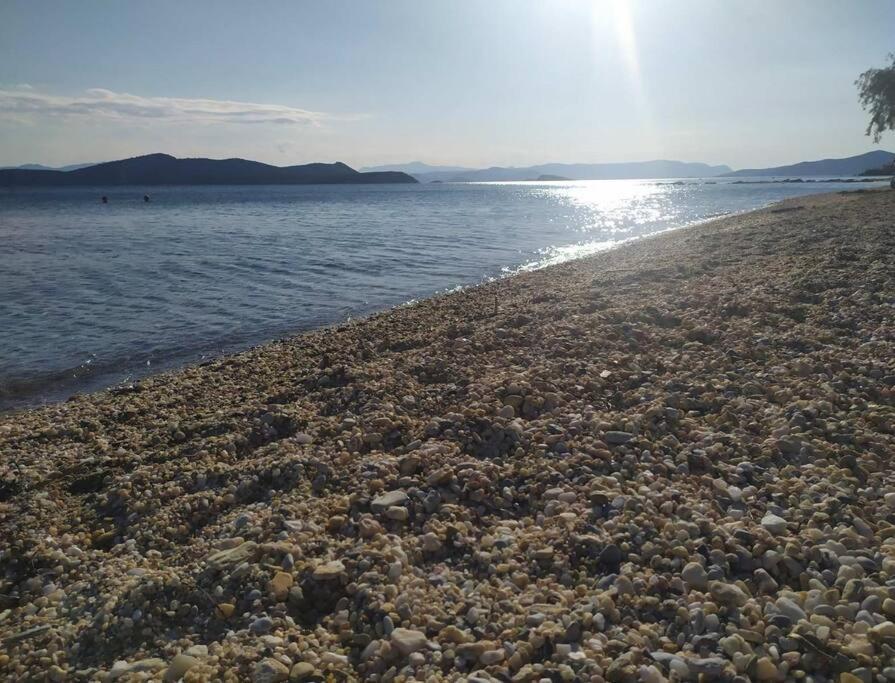 فيلا Το Σπίτι Της Μαργαρίτας Στην Παραλία نيا ستيرا المظهر الخارجي الصورة